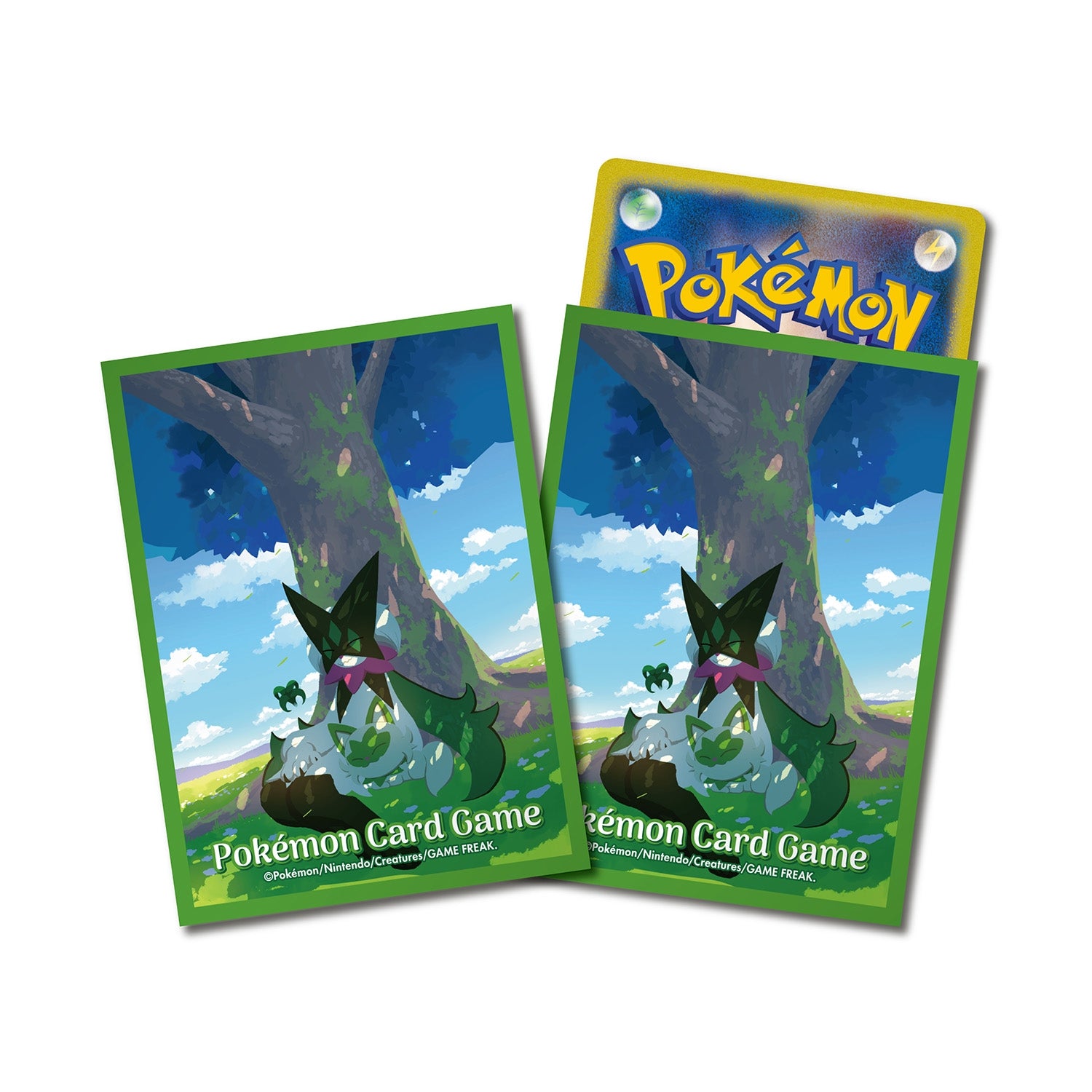 Sleeves Pokémon Center Poussacha & Miascarade — visuel officiel
