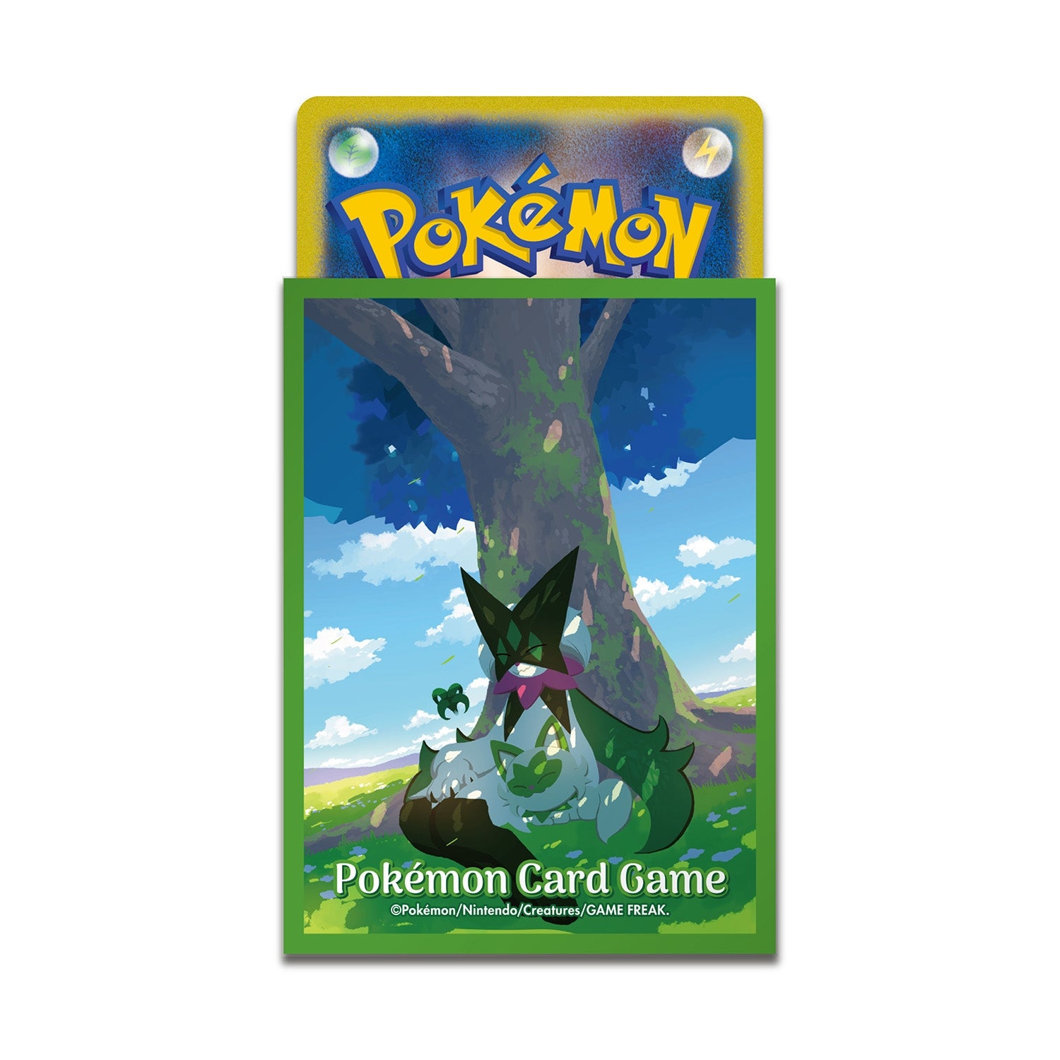 Sleeves Pokémon Center Poussacha & Miascarade — visuel officiel