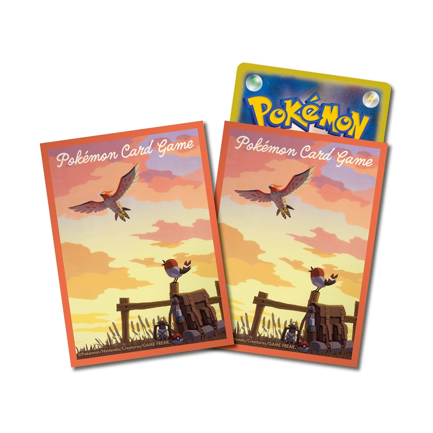 Sleeves Pokémon Center Passerouge & Flambusard — visuel officiel