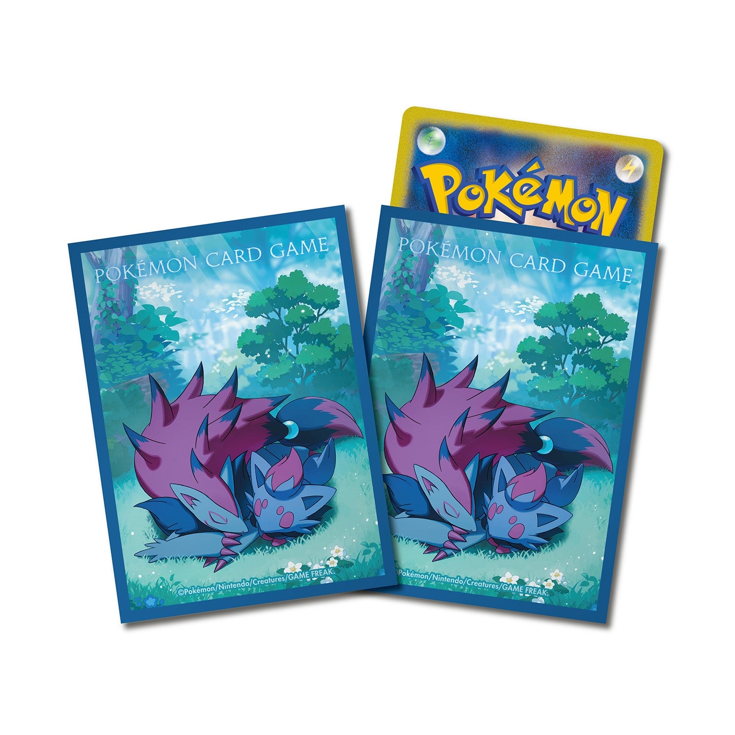 Sleeves Pokémon Center Zorua & Zoroark — visuel officiel